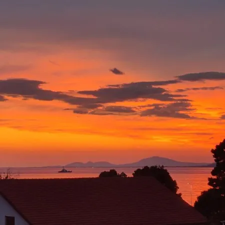 Bella's Apartment Sakes